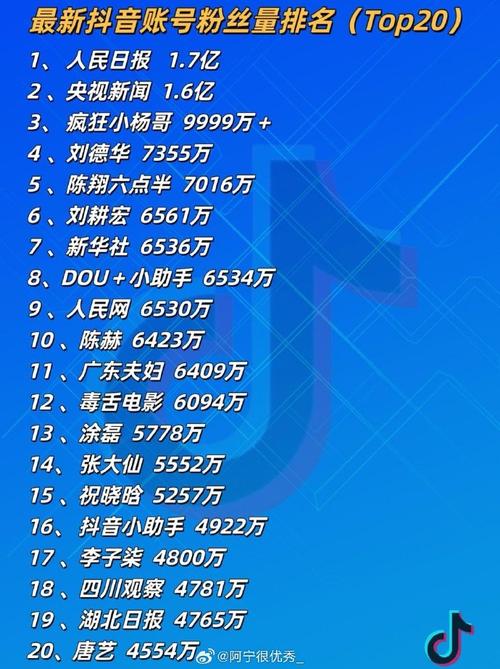 抖音有效粉丝在哪里看_抖音明星粉丝排行榜_陈赫抖音粉丝数