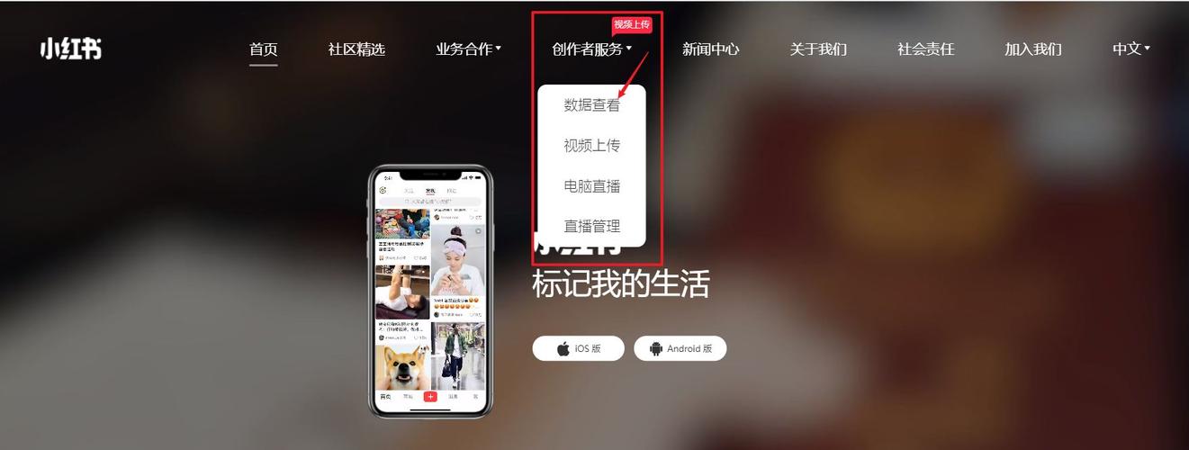 小红书涨粉是什么意思_电脑版小红书怎么进入_小红书网页版入口网址